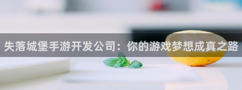 V8娱乐网：失落城堡手游开发公司：你的游戏梦想成真之路