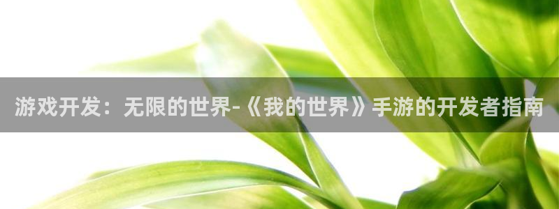 V8娱乐网：游戏开发：无限的世界-《我的世界》手游的开发者指