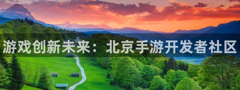 V8娱乐官网：游戏创新未来：北京手游开发者社区