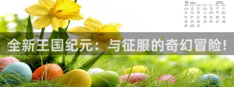 V8娱乐登录：全新王国纪元：与征服的奇幻冒险!