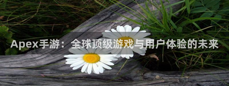 V8娱乐官网：Apex手游：全球顶级游戏与用户体验的未来