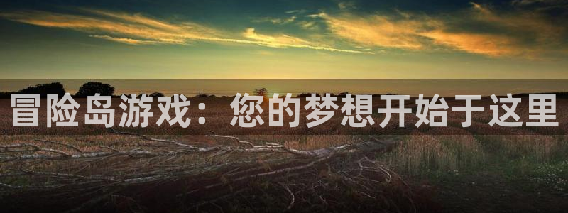 V8娱乐平台：冒险岛游戏：您的梦想开始于这里