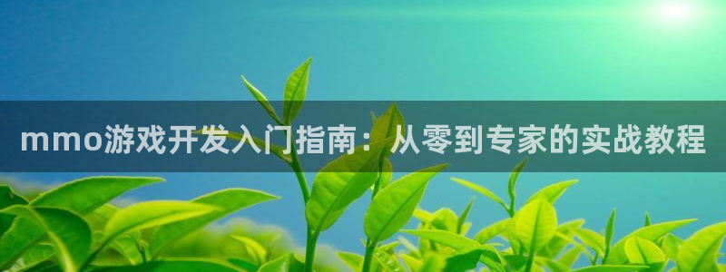 V8娱乐登录：mmo游戏开发入门指南：从零到专家的实战教程