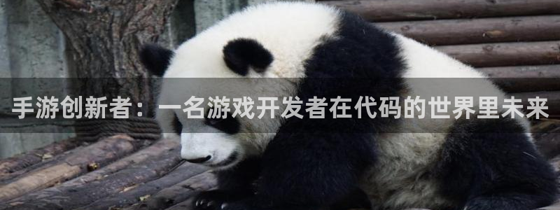 V8娱乐平台：手游创新者：一名游戏开发者在代码的世界里未来