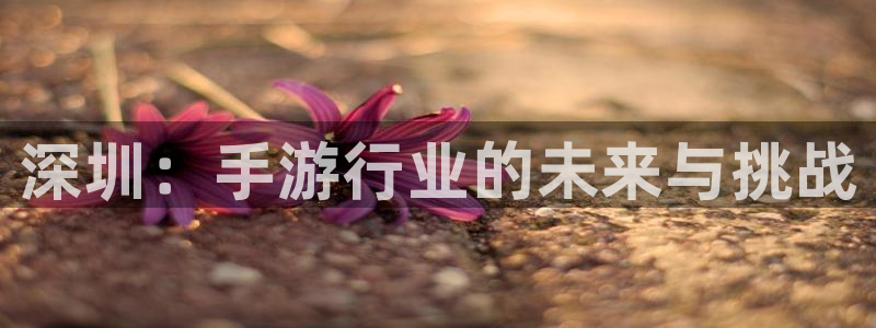 V8娱乐：深圳：手游行业的未来与挑战