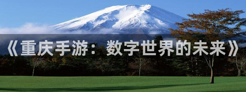 V8娱乐网：《重庆手游：数字世界的未来》