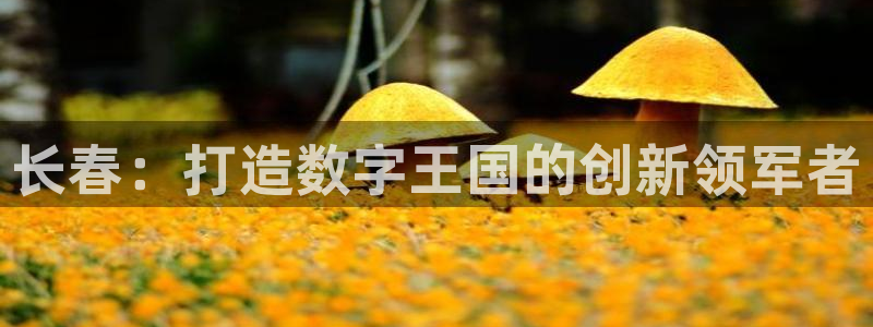 V8娱乐平台：长春：打造数字王国的创新领军者