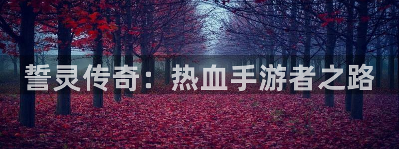 V8娱乐注册：誓灵传奇：热血手游者之路