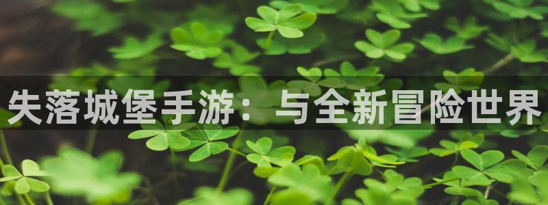 V8娱乐：失落城堡手游：与全新冒险世界