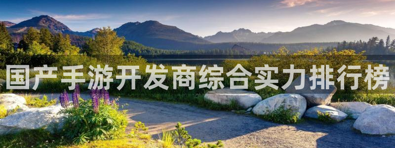 V8娱乐登录：国产手游开发商综合实力排行榜