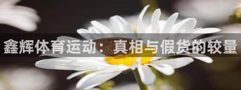 k1体育十年品牌值得信赖：鑫辉体育运动：真相与假货的较量