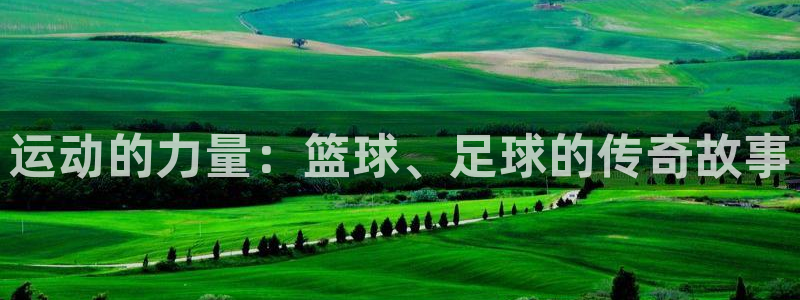 k1体育平台下载：运动的力量：篮球、足球的传奇故事