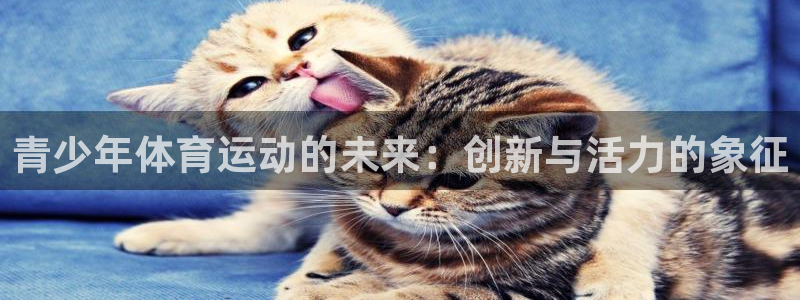 k1体育入口：青少年体育运动的未来：创新与活力的象征