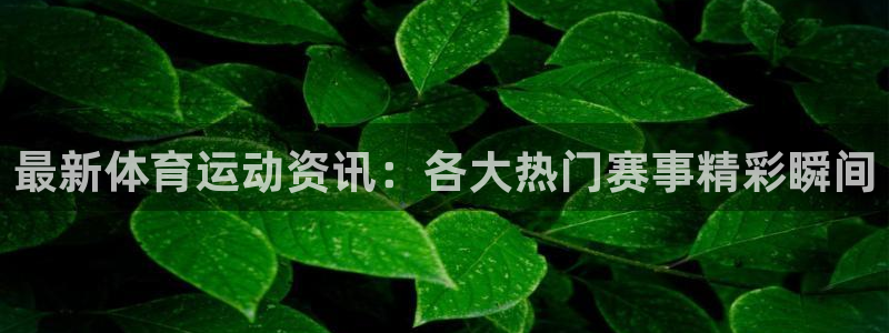 k1体育入口：最新体育运动资讯：各大热门赛事精彩瞬间