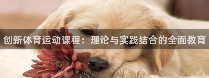 k1体育app官网登录入口：创新体育运动课程：理论与实践结合的全面教育
