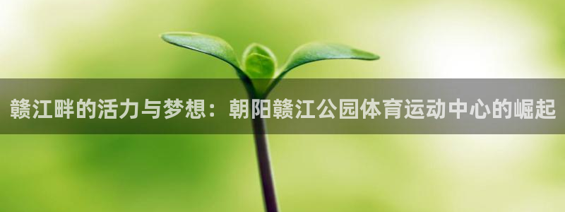 k1体育链接：赣江畔的活力与梦想：朝阳赣江公园体育运动中心的崛起