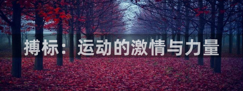 k1体育十年品牌值得信赖网址：搏标：运动的激情与力量