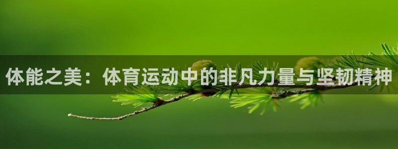 k1体育网址：体能之美：体育运动中的非凡力量与坚韧精神