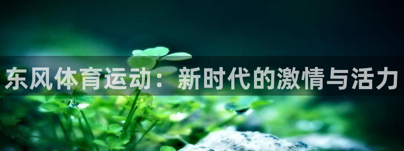 k1体育十年品牌值得信赖：东风体育运动：新时代的激情与活力